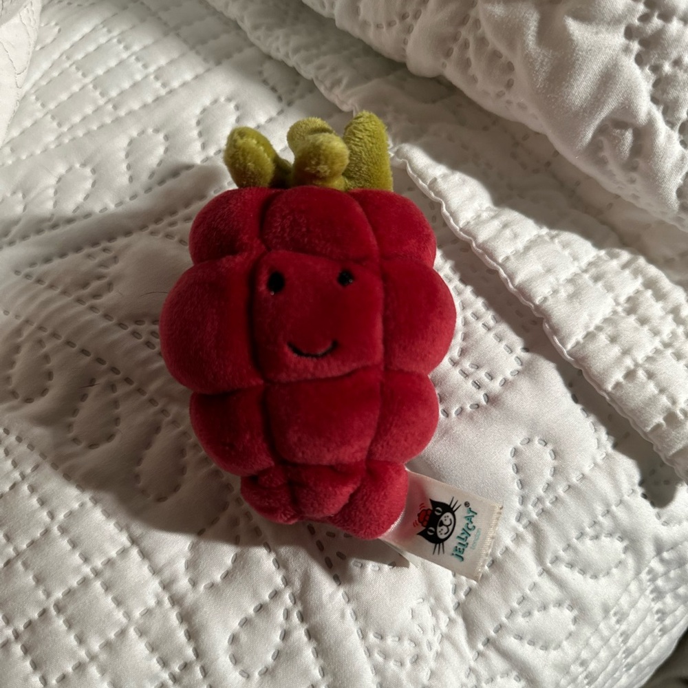 Raspberry (retired) Jellycat